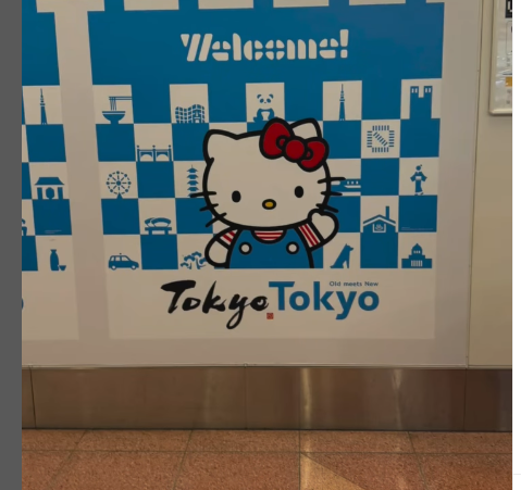 Tokyo fed all five senses.